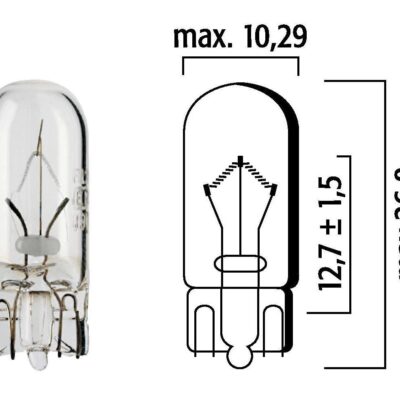 FLOSSER - AMPOLLETA 12V 3W / COLA PESCADO / BASE W2,1x9,5d / T10 / MED-26,8X10,29 / W3W OEM: 4090