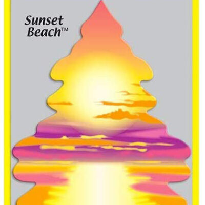 LITTLE TREES - Sunset Beach - Atardecer